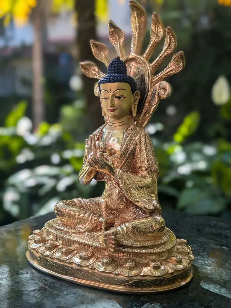 WhatsApp Image 2025-10-18 at 11.36.57.webp